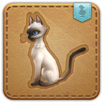 Nagxian Cat Nagxian Cat