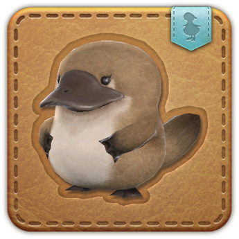 Bitty Duckbill Bitty Duckbill